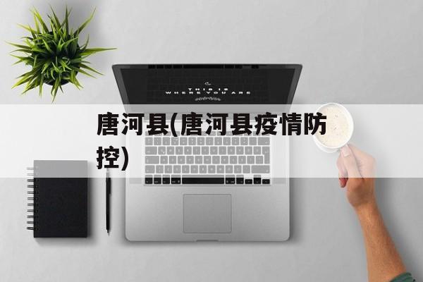 唐河县(唐河县疫情防控)