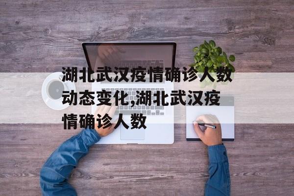 湖北武汉疫情确诊人数动态变化,湖北武汉疫情确诊人数
